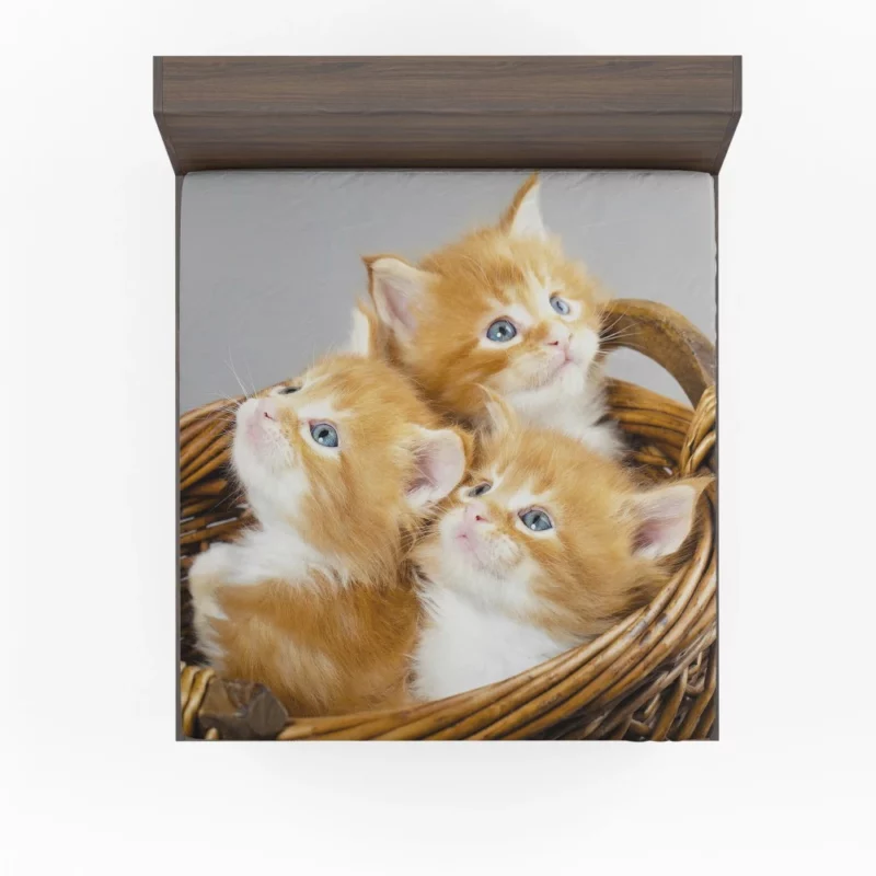 Kitten Trio Basket of Cuteness Fitted Sheet 1