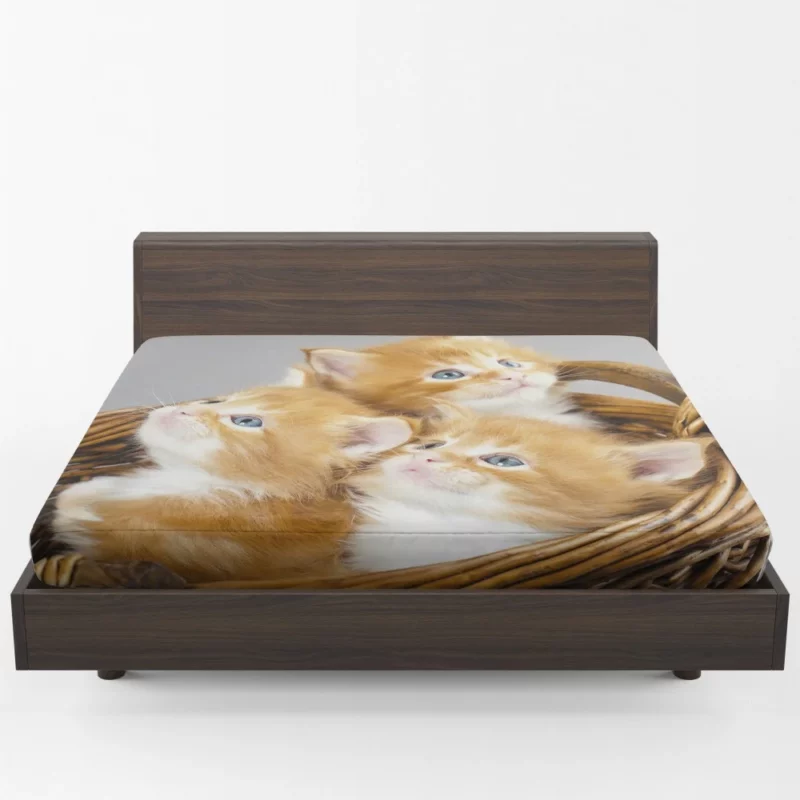 Kitten Trio Basket of Cuteness Fitted Sheet