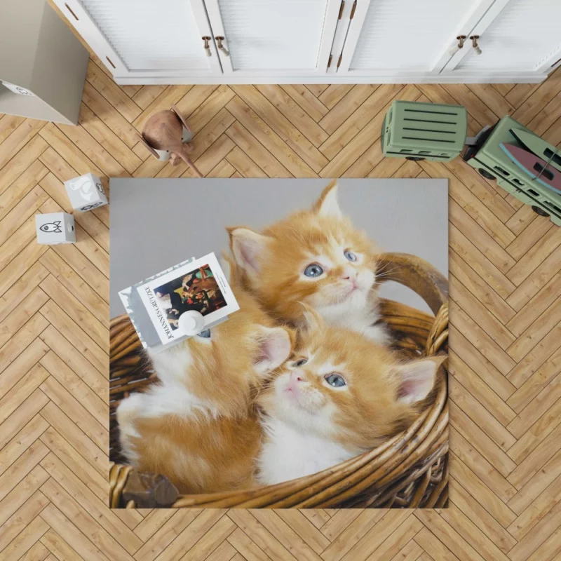 Kitten Trio Basket of Cuteness Rug