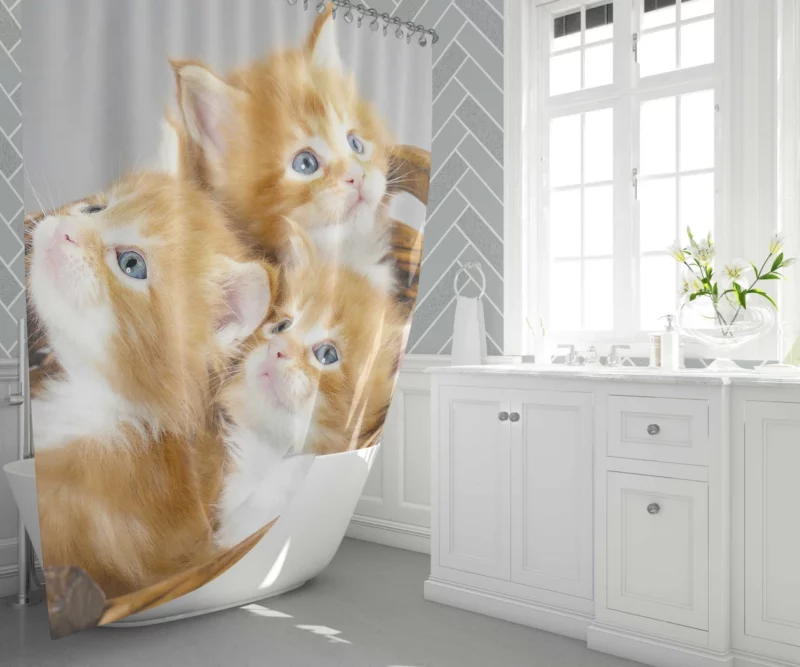 Kitten Trio Basket of Cuteness Shower Curtain 1