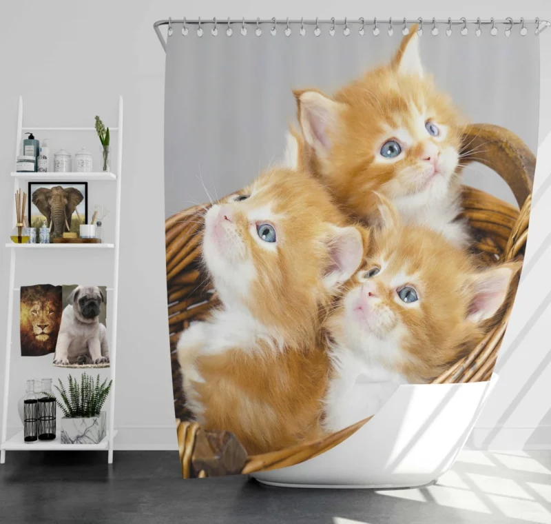 Kitten Trio Basket of Cuteness Shower Curtain