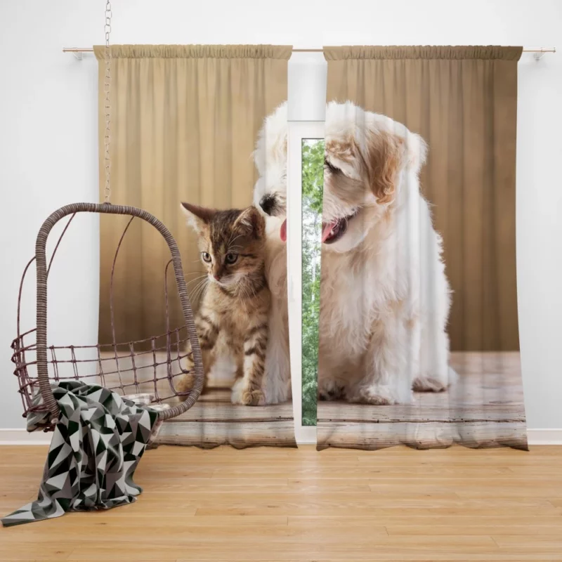 Kitten and Puppy Furry Friendship Curtain