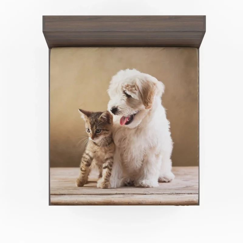 Kitten and Puppy Furry Friendship Fitted Sheet 1