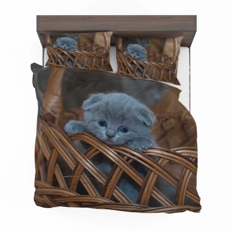 Kitten in Basket Baby Innocence Bedding Set 1