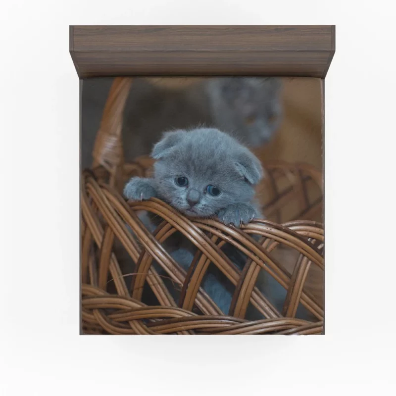 Kitten in Basket Baby Innocence Fitted Sheet 1