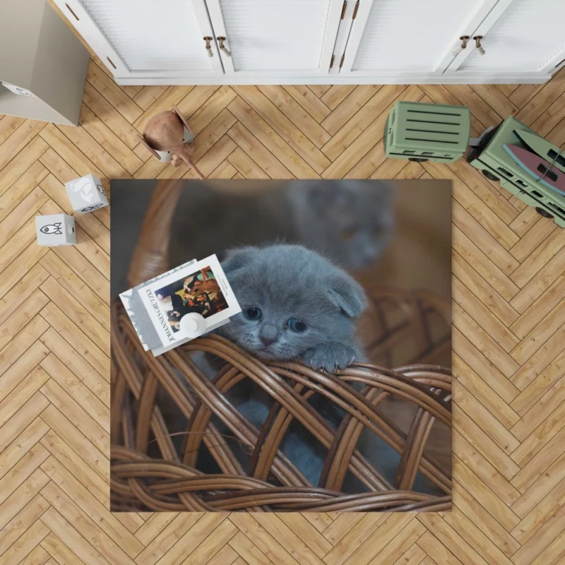 Kitten in Basket Baby Innocence Rug