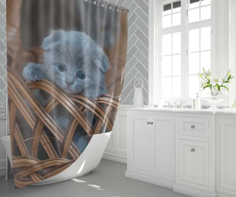 Kitten in Basket Baby Innocence Shower Curtain 1