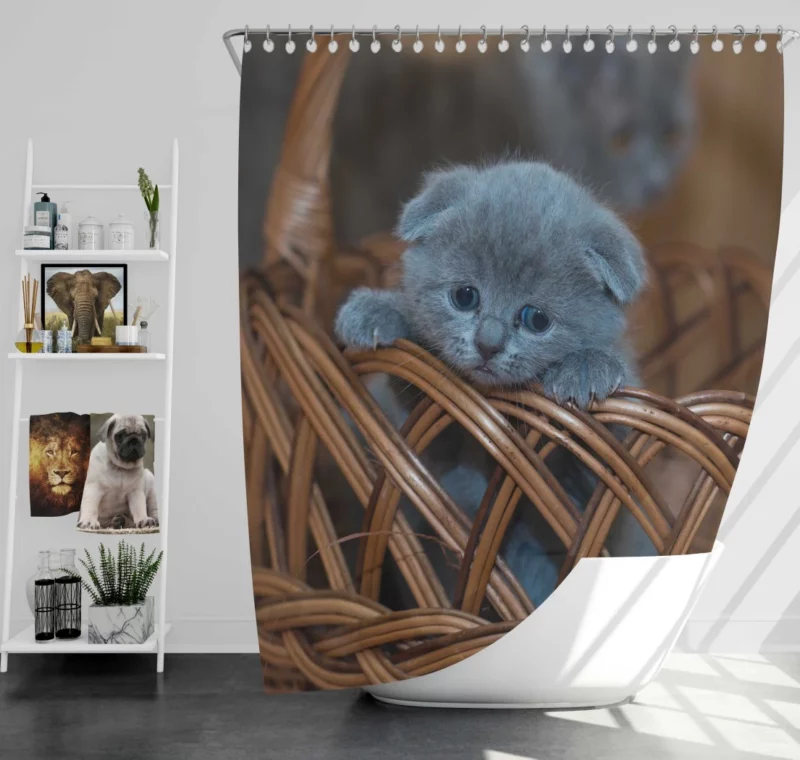 Kitten in Basket Baby Innocence Shower Curtain