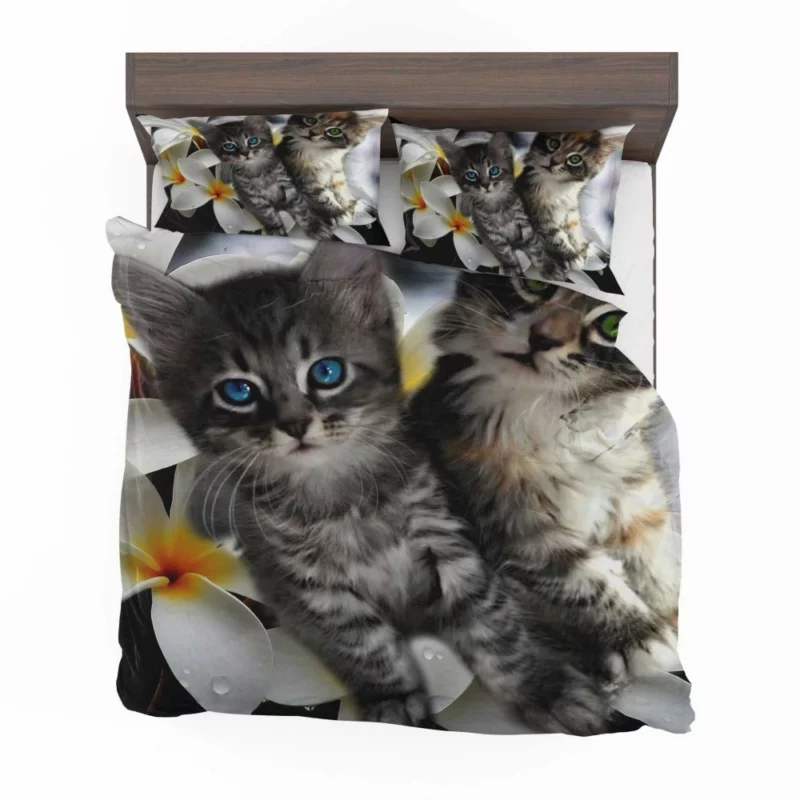 Kittens in Plumeria Bliss Whiskered Joy Bedding Set 1