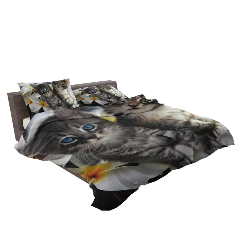 Kittens in Plumeria Bliss Whiskered Joy Bedding Set 2