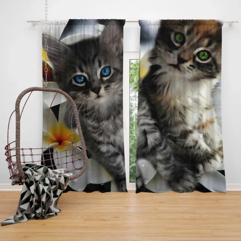 Kittens in Plumeria Bliss Whiskered Joy Curtain