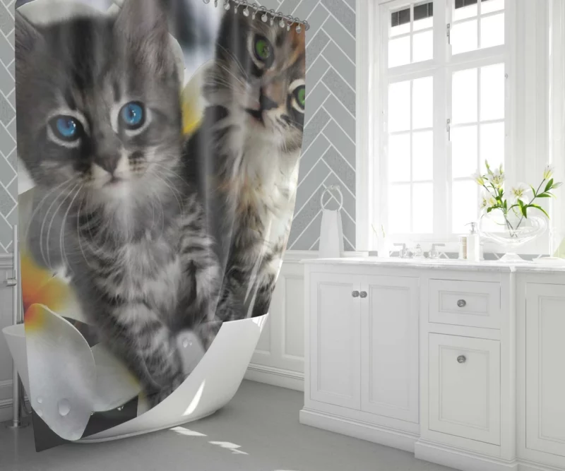 Kittens in Plumeria Bliss Whiskered Joy Shower Curtain 1