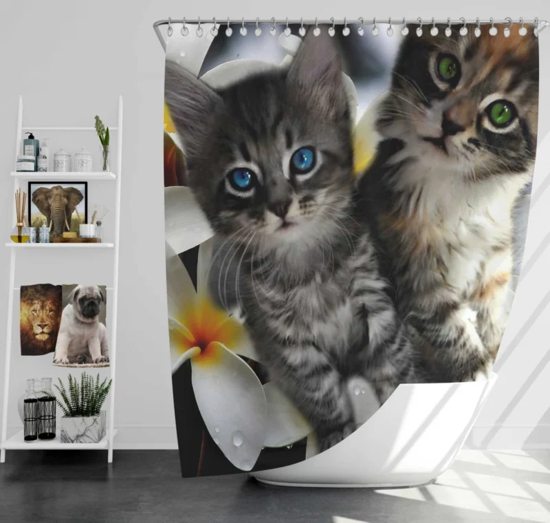 Kittens in Plumeria Bliss Whiskered Joy Shower Curtain