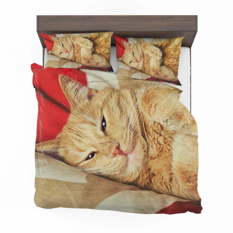 Kolyan Kolyanich Whiskered Appeal Bedding Set 1