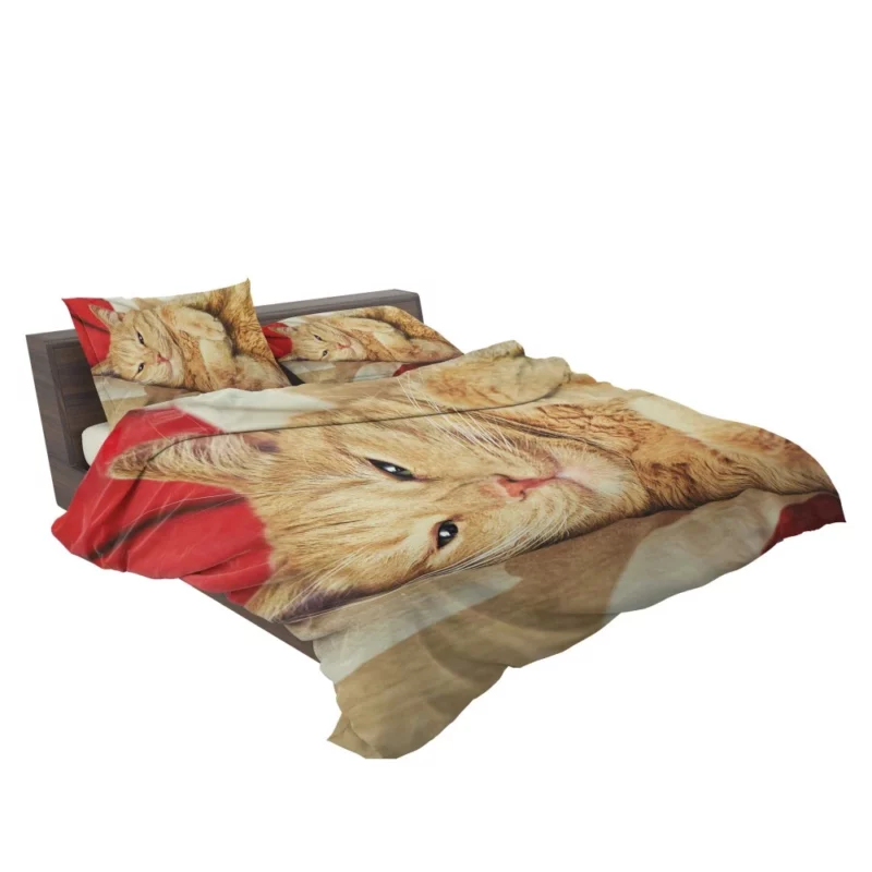 Kolyan Kolyanich Whiskered Appeal Bedding Set 2