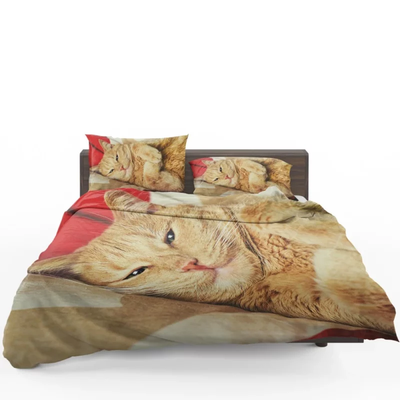 Kolyan Kolyanich Whiskered Appeal Bedding Set