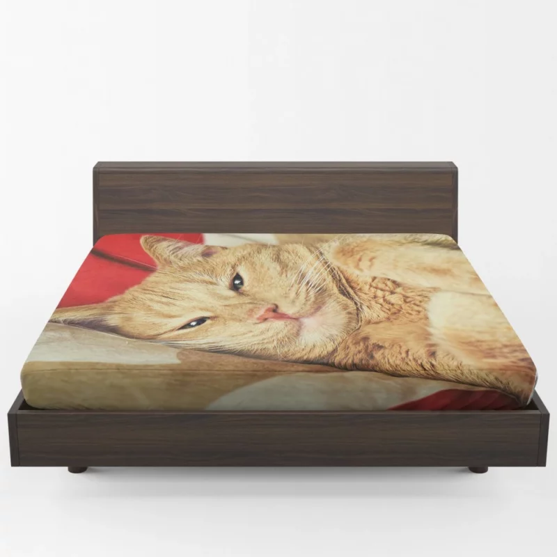 Kolyan Kolyanich Whiskered Appeal Fitted Sheet