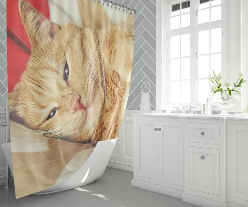 Kolyan Kolyanich Whiskered Appeal Shower Curtain 1