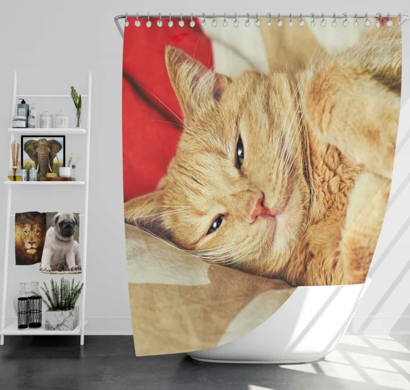 Kolyan Kolyanich Whiskered Appeal Shower Curtain