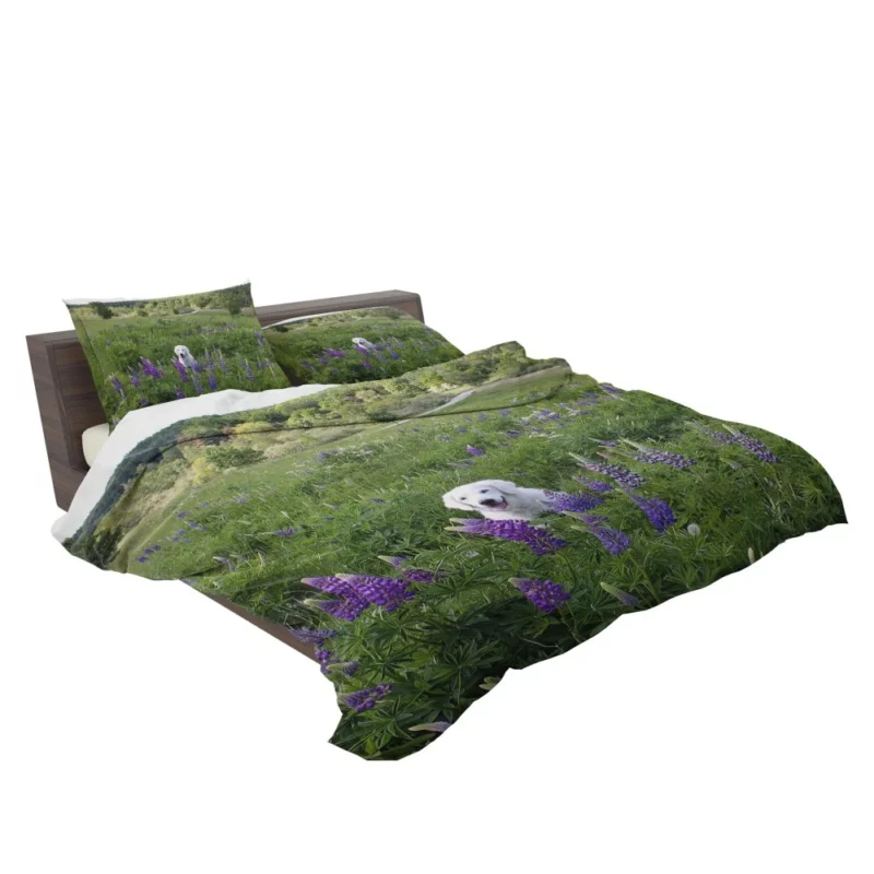 Labrador Amidst Purple Lupines Floral Charm Bedding Set 2