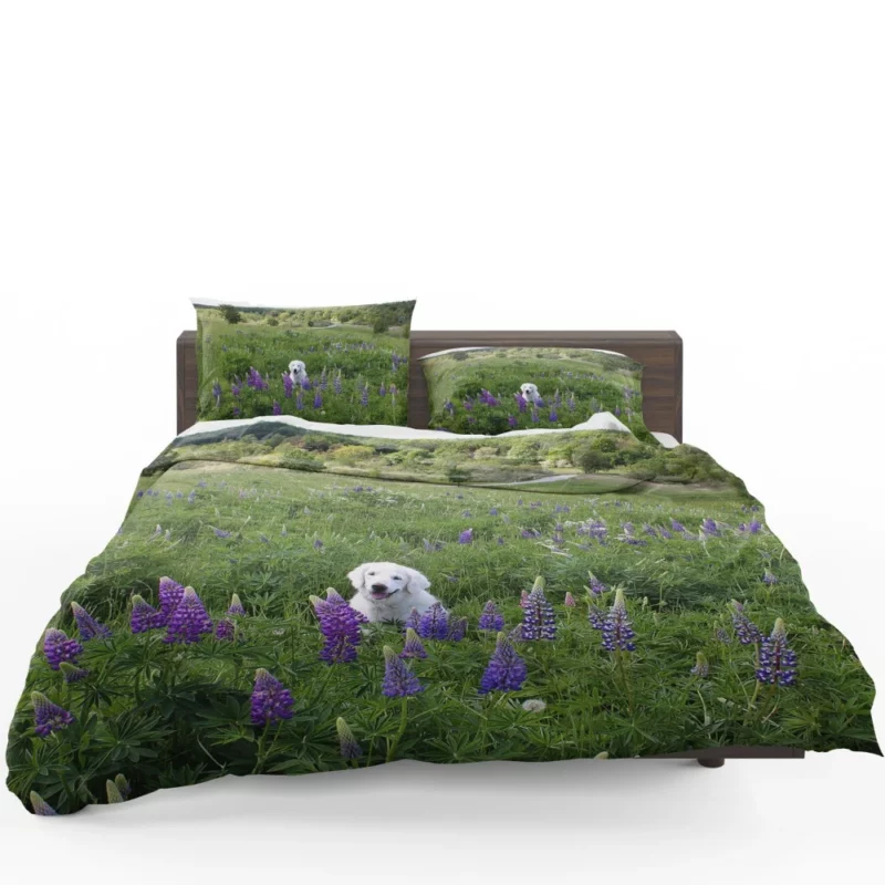 Labrador Amidst Purple Lupines Floral Charm Bedding Set