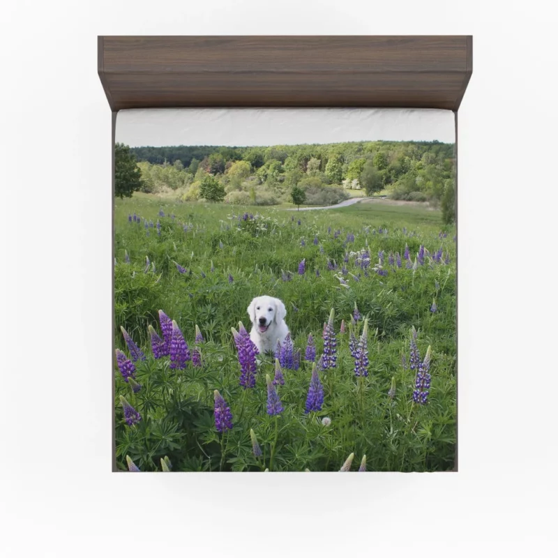 Labrador Amidst Purple Lupines Floral Charm Fitted Sheet 1