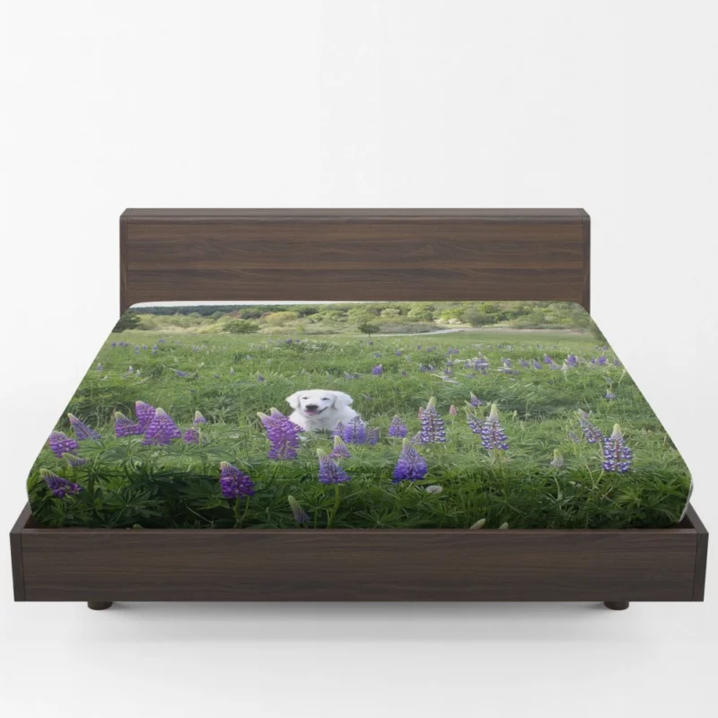 Labrador Amidst Purple Lupines Floral Charm Fitted Sheet