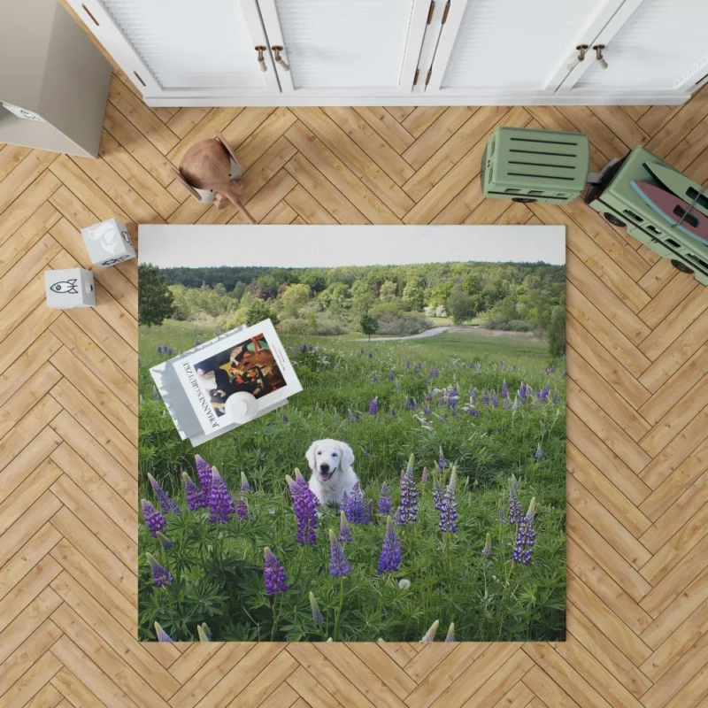 Labrador Amidst Purple Lupines Floral Charm Rug