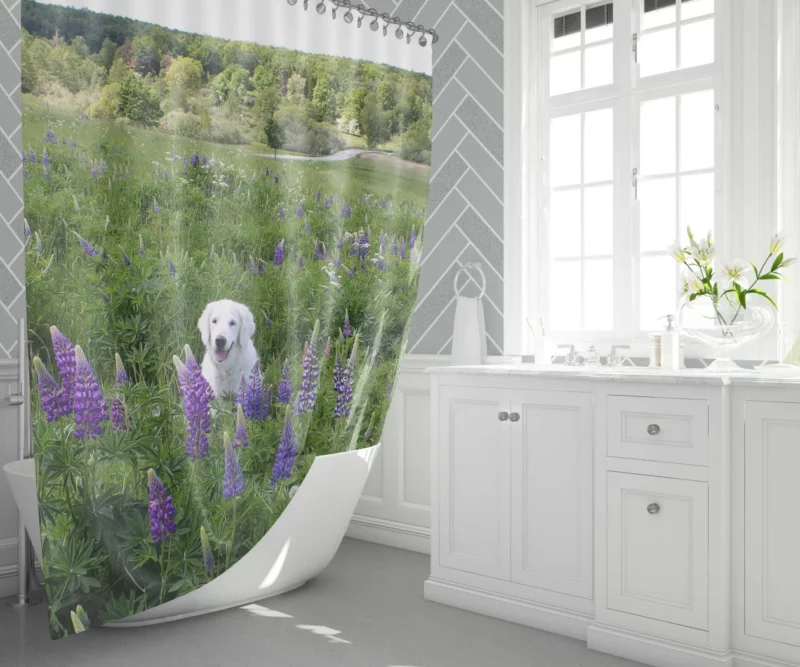 Labrador Amidst Purple Lupines Floral Charm Shower Curtain 1