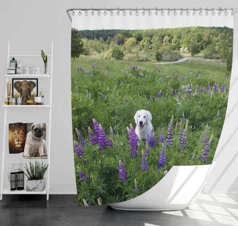 Labrador Amidst Purple Lupines Floral Charm Shower Curtain