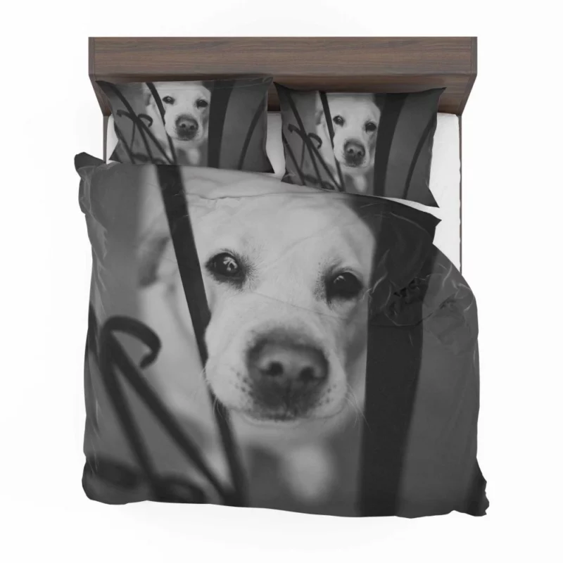 Labrador Black & White Beauty Muzzle Marvel Bedding Set 1