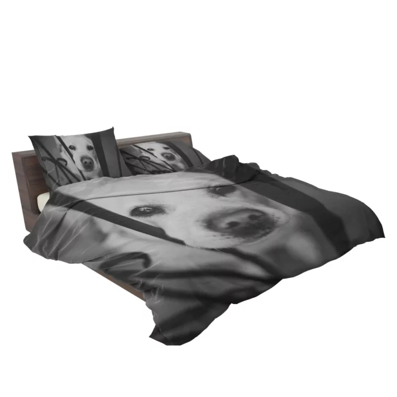 Labrador Black & White Beauty Muzzle Marvel Bedding Set 2