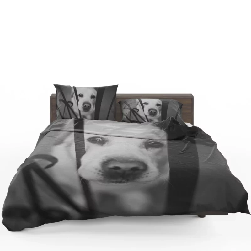 Labrador Black & White Beauty Muzzle Marvel Bedding Set