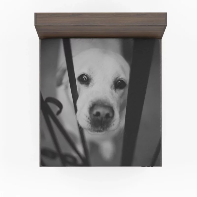 Labrador Black & White Beauty Muzzle Marvel Fitted Sheet 1