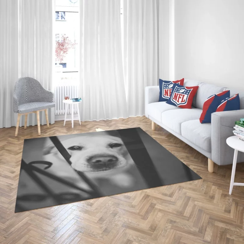 Labrador Black & White Beauty Muzzle Marvel Rug 2