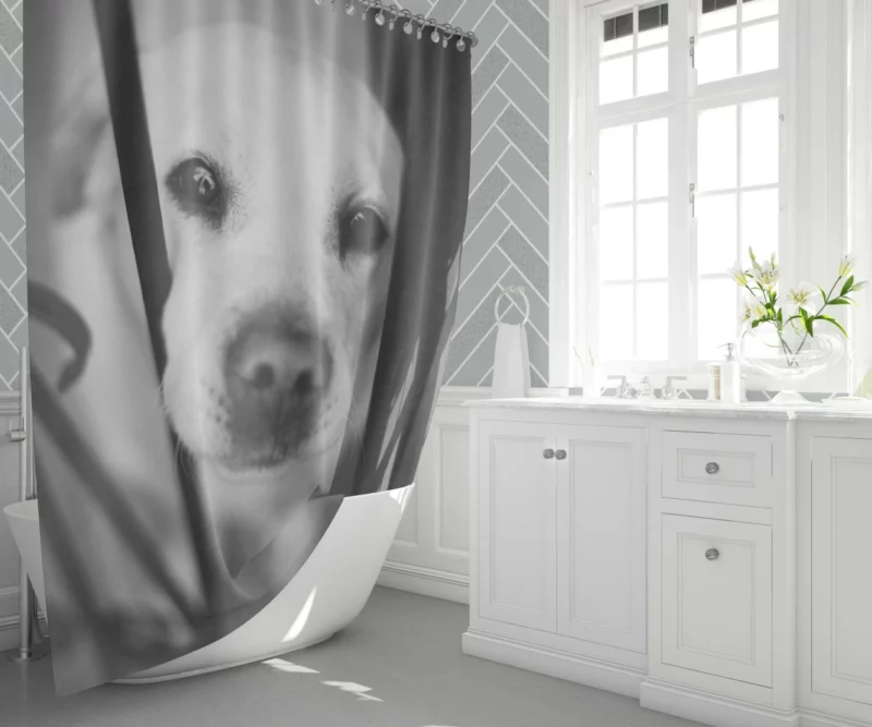 Labrador Black & White Beauty Muzzle Marvel Shower Curtain 1