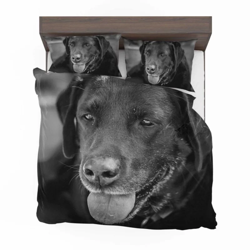 Labrador Inquisitive Stare Canine Persona Bedding Set 1