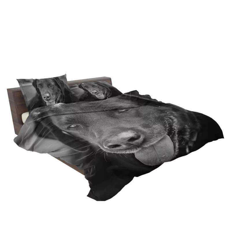 Labrador Inquisitive Stare Canine Persona Bedding Set 2