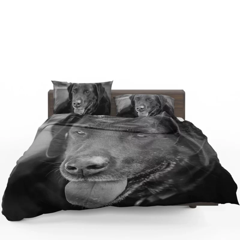 Labrador Inquisitive Stare Canine Persona Bedding Set