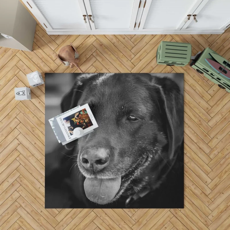 Labrador Inquisitive Stare Canine Persona Rug