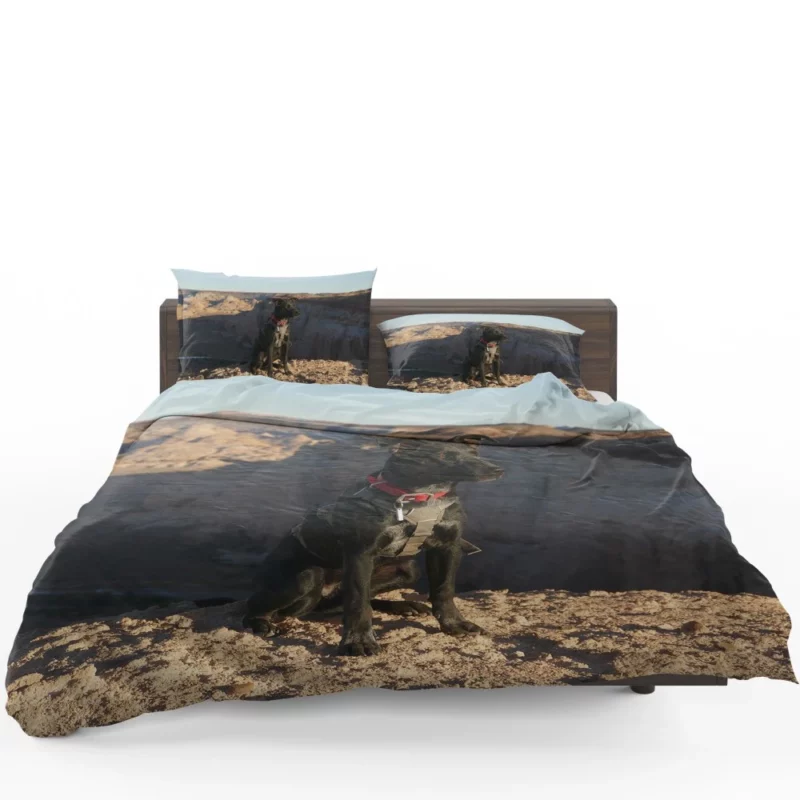 Labrador Joyful Barking in Nature Bedding Set