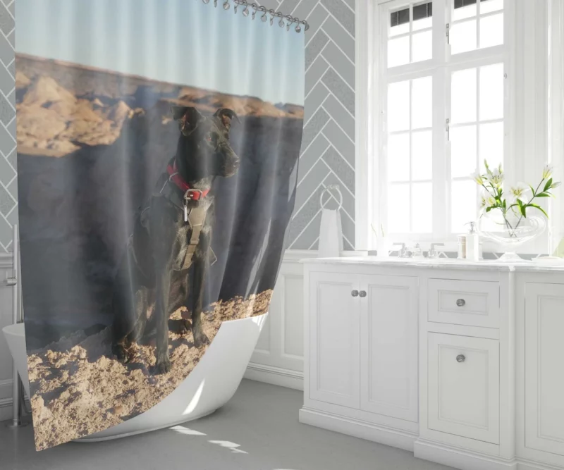 Labrador Joyful Barking in Nature Shower Curtain 1