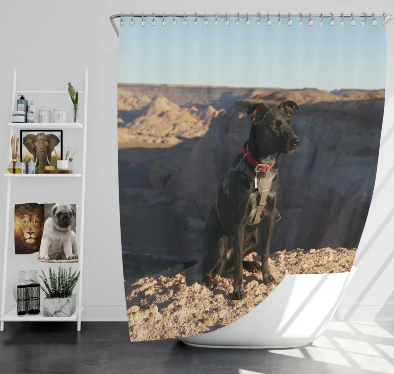 Labrador Joyful Barking in Nature Shower Curtain