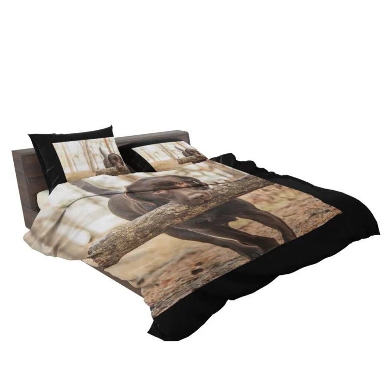 Labrador Loyalty and Love Bedding Set 2