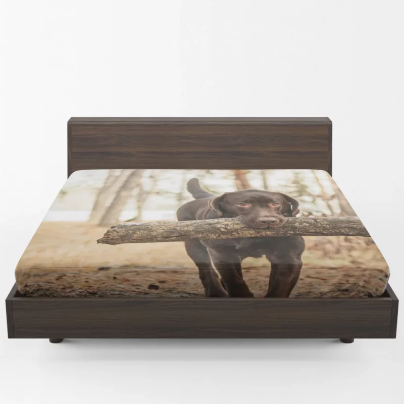 Labrador Loyalty and Love Fitted Sheet