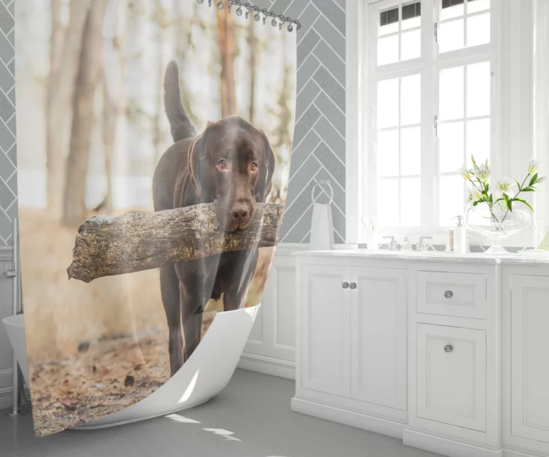 Labrador Loyalty and Love Shower Curtain 1