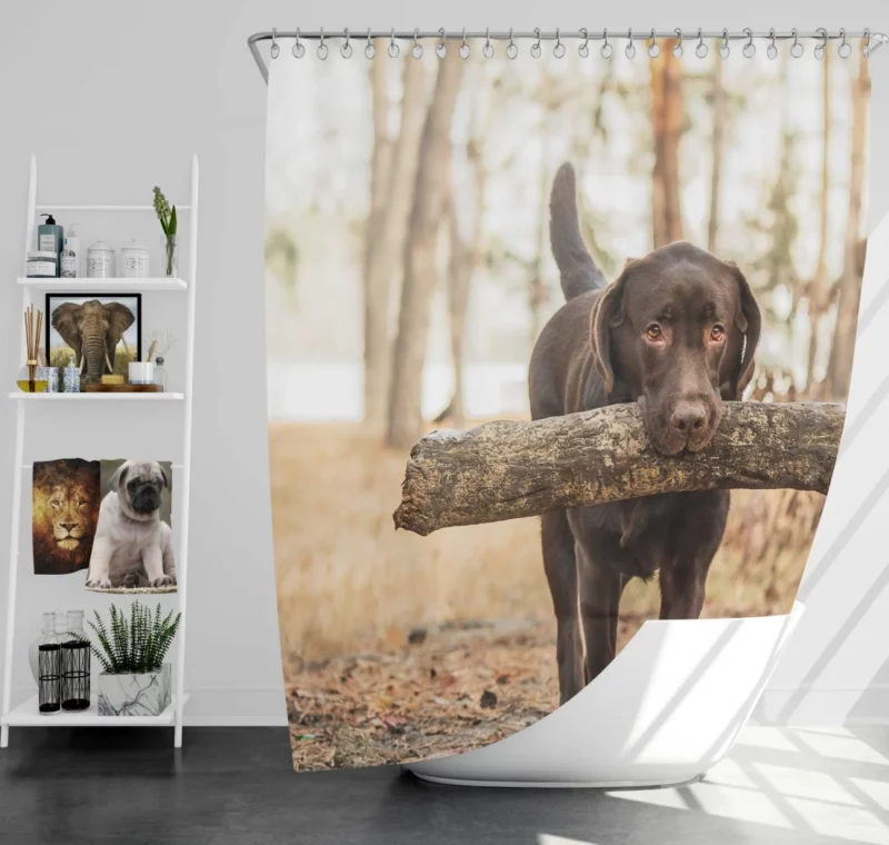 Labrador Loyalty and Love Shower Curtain