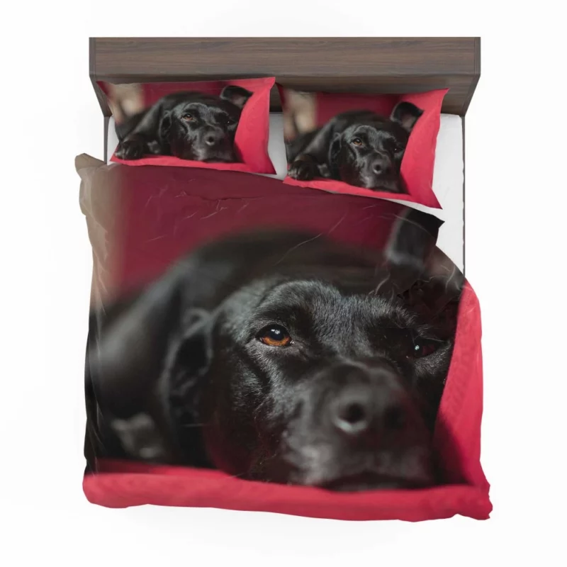 Labrador Majestic Essence Loyal Companion Bedding Set 1