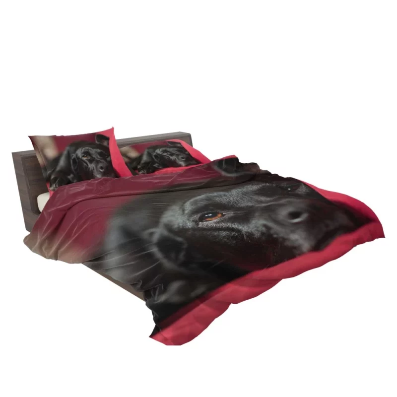 Labrador Majestic Essence Loyal Companion Bedding Set 2