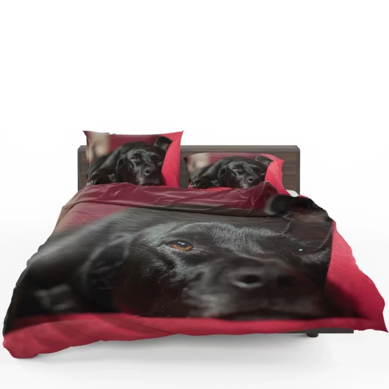 Labrador Majestic Essence Loyal Companion Bedding Set